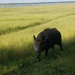 Διαμέρισμα Ours En Bay - Cocon Pour Amoureux Avec Parking Gratuit A Pieds - Pres De La Chapelle Des Marins Et De La Baie