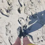 Appartement Ours En Bay - Cocon Pour Amoureux Avec Parking Gratuit à Pieds - Près De La Chapelle Des Marins Et De La Baie