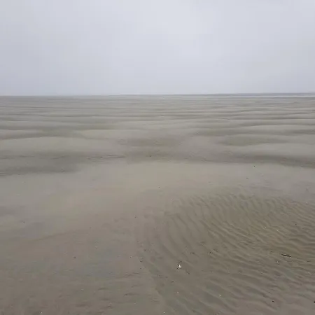 Ours En Bay - Cocon Pour Amoureux Avec Parking Gratuit à Pieds - Près De La Chapelle Des Marins Et De La Baie Appartement Saint-Valery-sur-Somme
