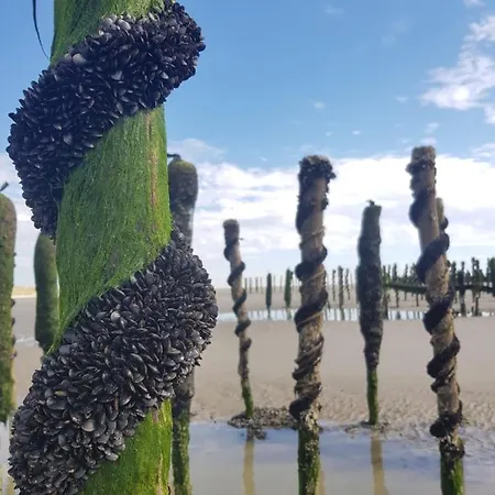 Ours En Bay - Cocon Pour Amoureux Avec Parking Gratuit à Pieds - Près De La Chapelle Des Marins Et De La Baie * Saint-Valery-sur-Somme