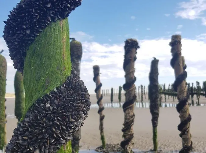 Ours En Bay: Romantic With Free Parking Near Sailor's Chapel * Saint-Valery-sur-Somme