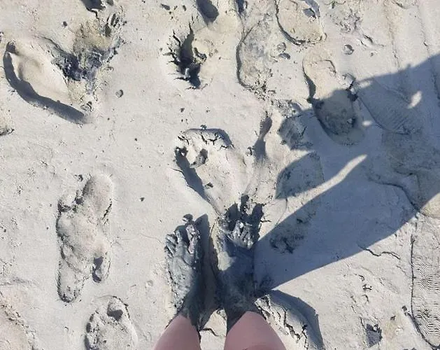 Apartment Ours En Bay: Romantic With Free Parking Near Sailor's Chapel