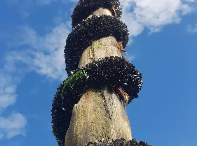 Apartment Ours En Bay: Romantic With Free Parking Near Sailor's Chapel *